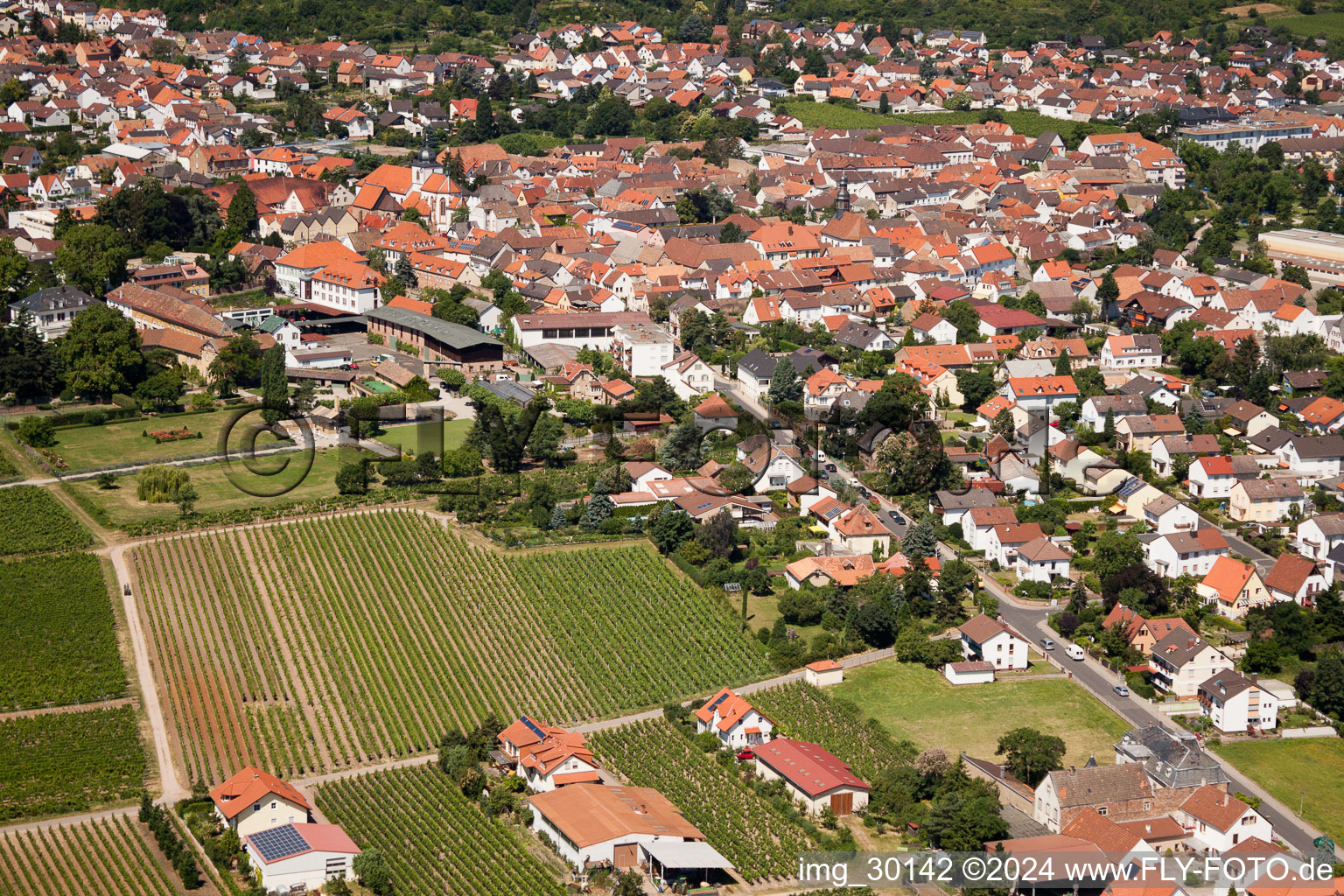 Vue d'oiseau de Wachenheim an der Weinstraße dans le département Rhénanie-Palatinat, Allemagne