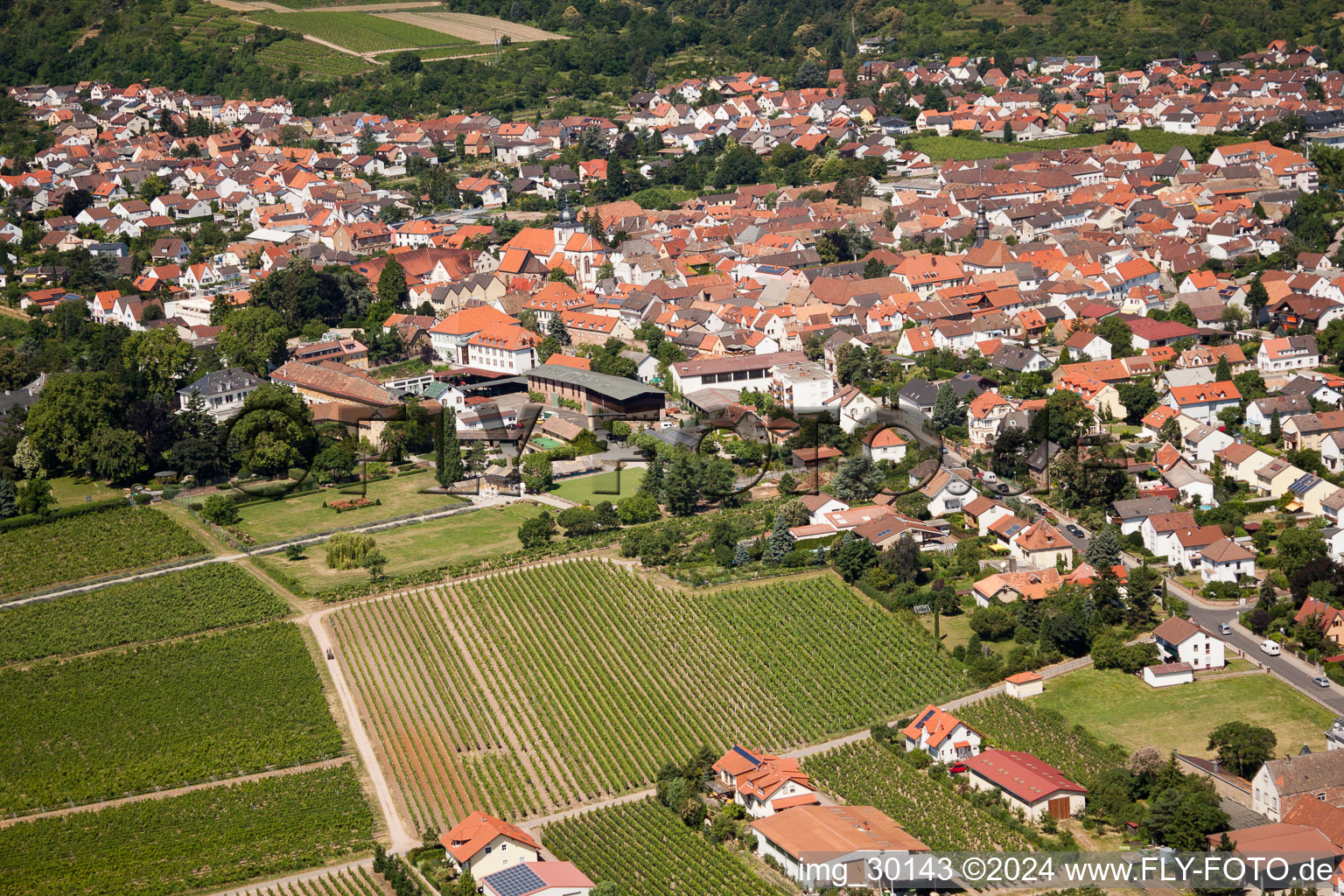 Wachenheim an der Weinstraße dans le département Rhénanie-Palatinat, Allemagne hors des airs