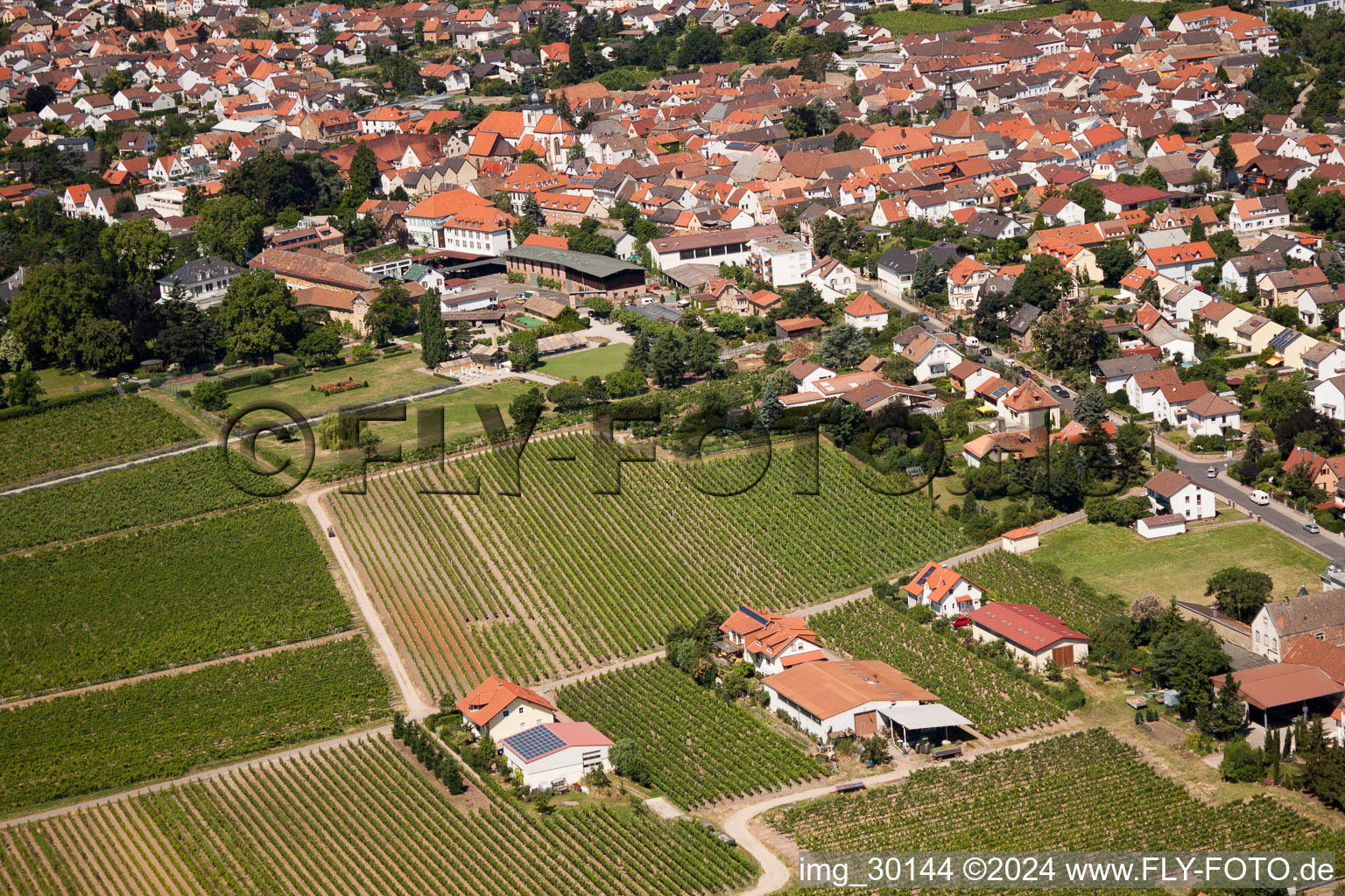 Wachenheim an der Weinstraße dans le département Rhénanie-Palatinat, Allemagne vue d'en haut