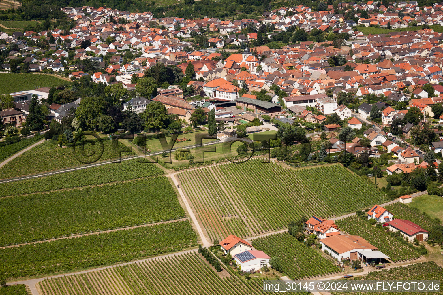 Wachenheim an der Weinstraße dans le département Rhénanie-Palatinat, Allemagne depuis l'avion