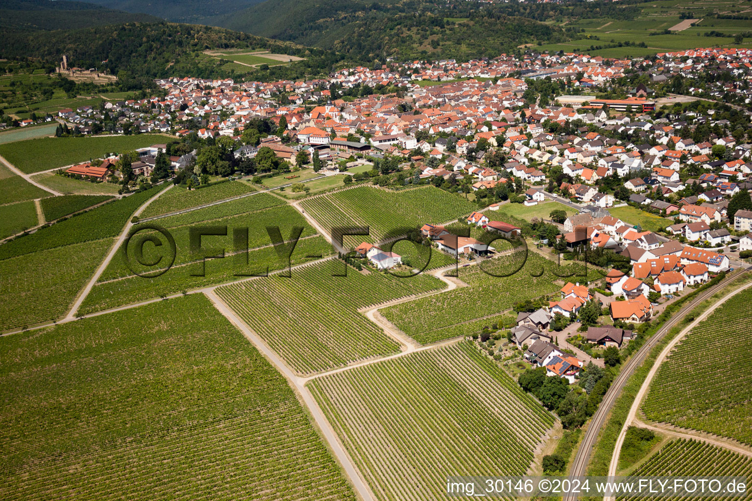 Vue d'oiseau de Wachenheim an der Weinstraße dans le département Rhénanie-Palatinat, Allemagne