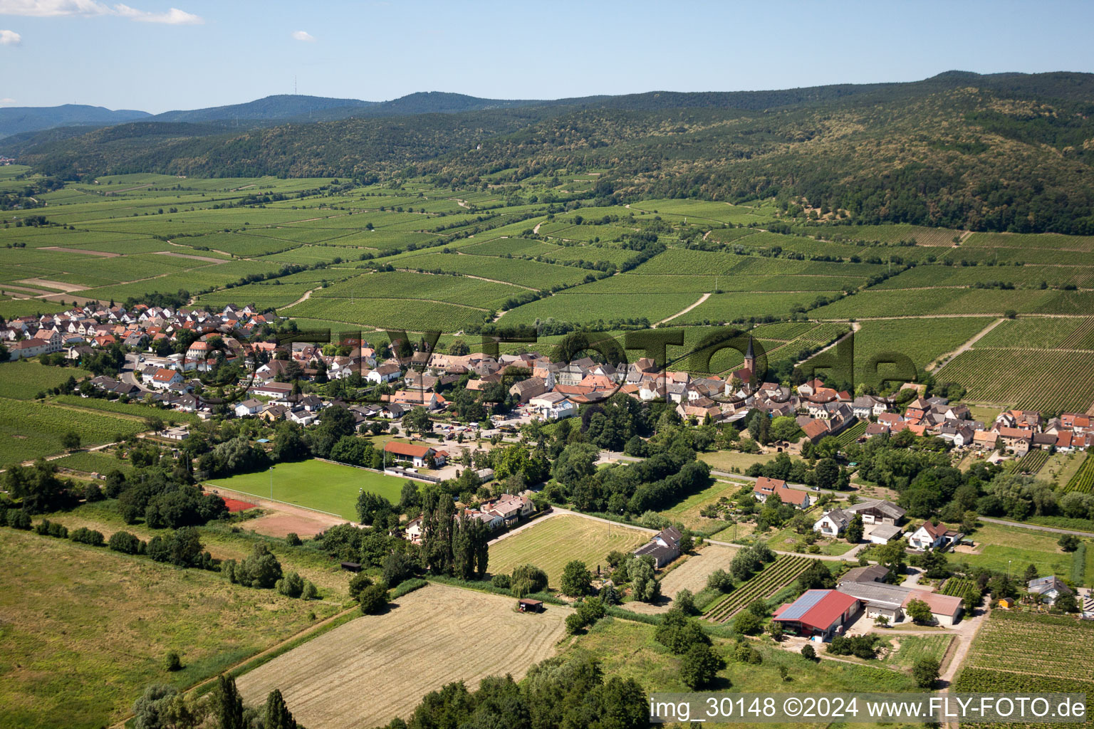 Forst an der Weinstraße dans le département Rhénanie-Palatinat, Allemagne hors des airs