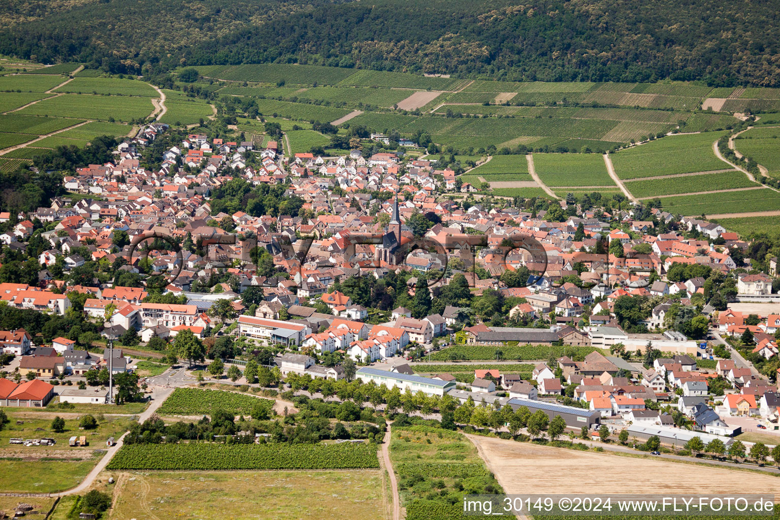 Deidesheim dans le département Rhénanie-Palatinat, Allemagne depuis l'avion