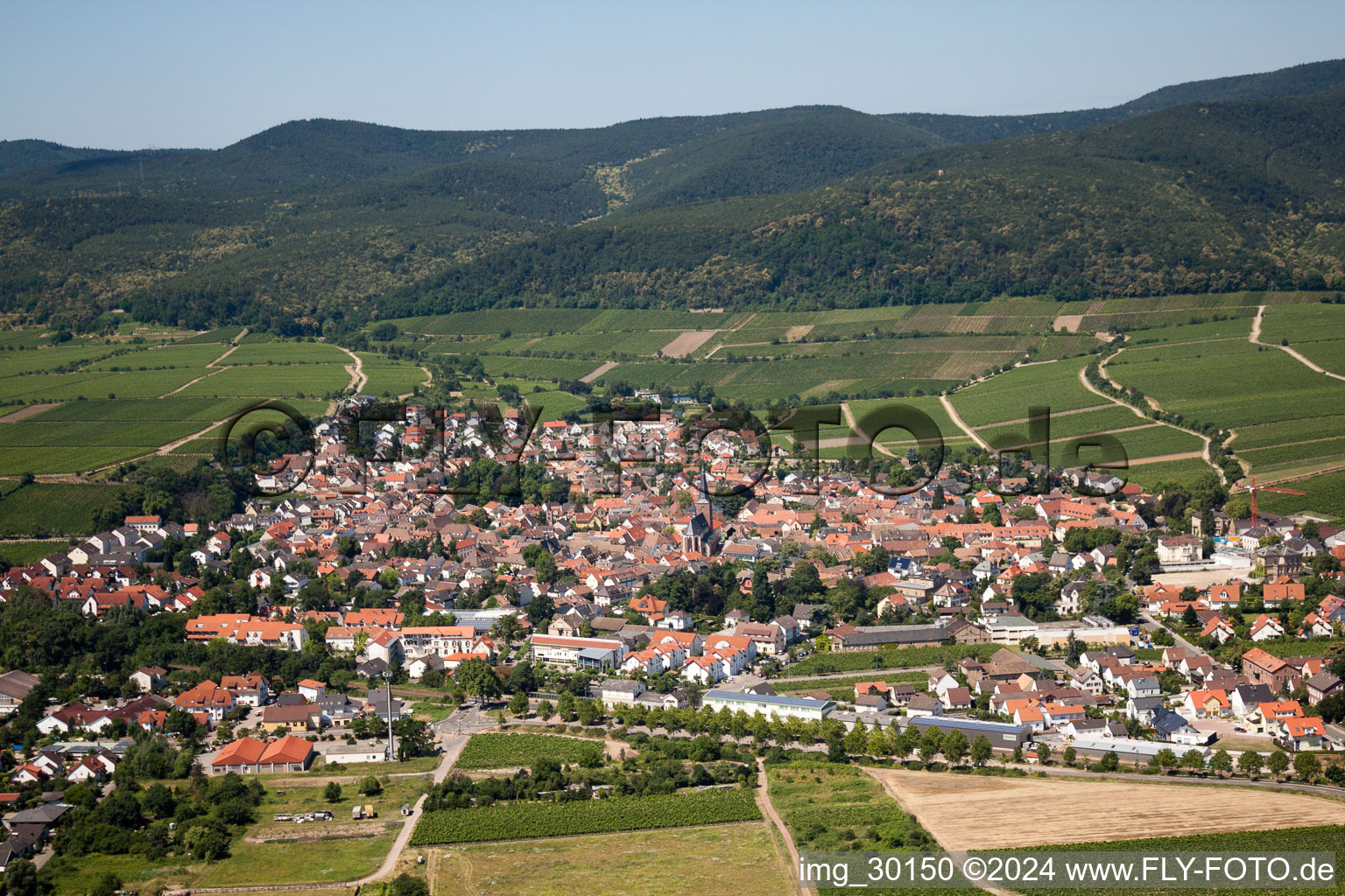 Vue aérienne de Vue des rues et des maisons des quartiers résidentiels à Deidesheim dans le département Rhénanie-Palatinat, Allemagne