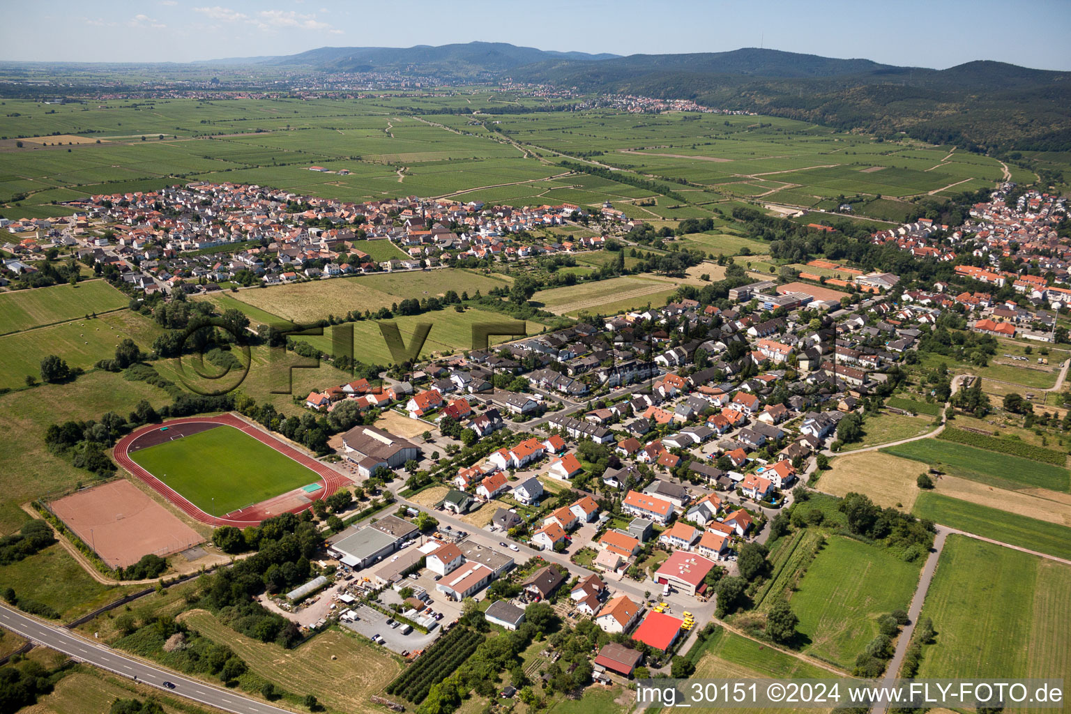 Vue d'oiseau de Deidesheim dans le département Rhénanie-Palatinat, Allemagne