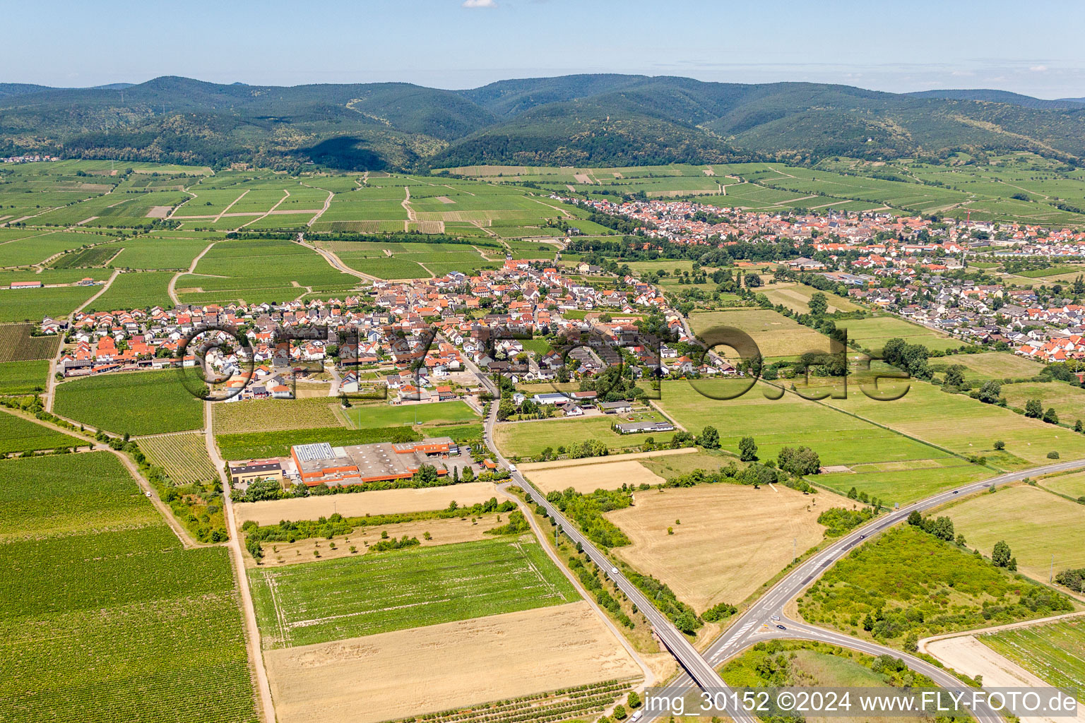 Vue aérienne de Champs agricoles et surfaces utilisables à Ruppertsberg dans le département Rhénanie-Palatinat, Allemagne