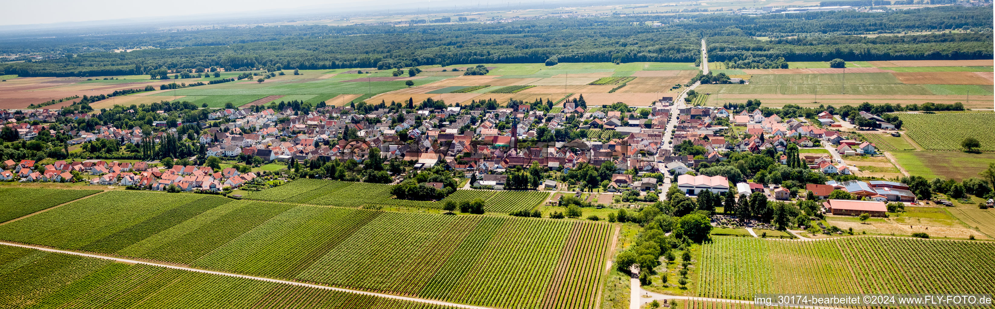 Vue aérienne de Perspective panoramique (Palatinat) à Hochstadt dans le département Rhénanie-Palatinat, Allemagne