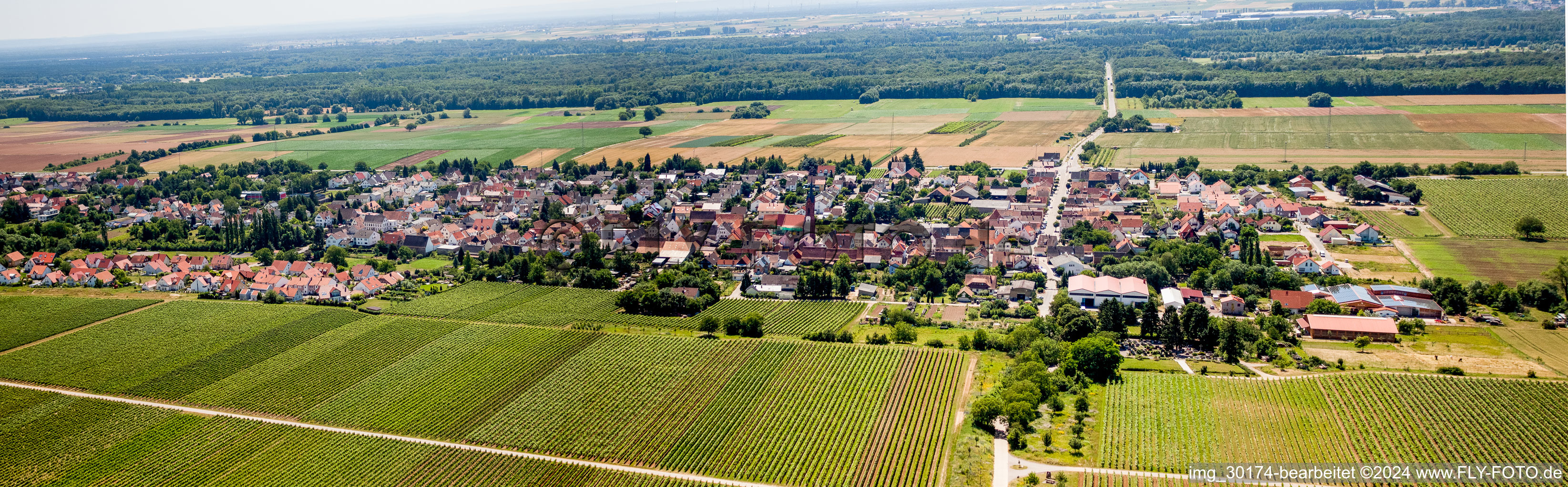 Vue aérienne de Perspective panoramique (Palatinat) à le quartier Niederhochstadt in Hochstadt dans le département Rhénanie-Palatinat, Allemagne