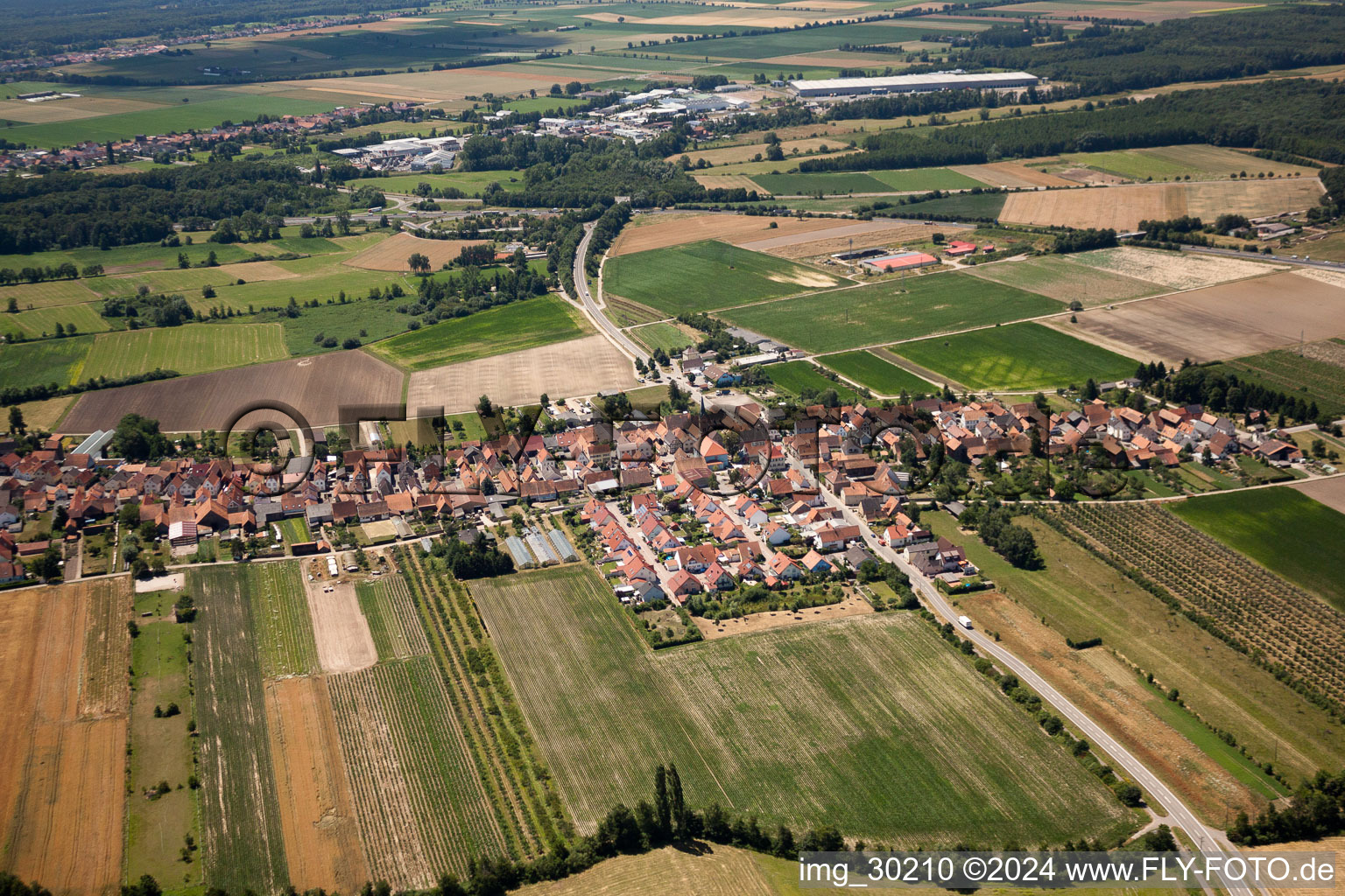 Vue oblique de Du nord à Erlenbach bei Kandel dans le département Rhénanie-Palatinat, Allemagne