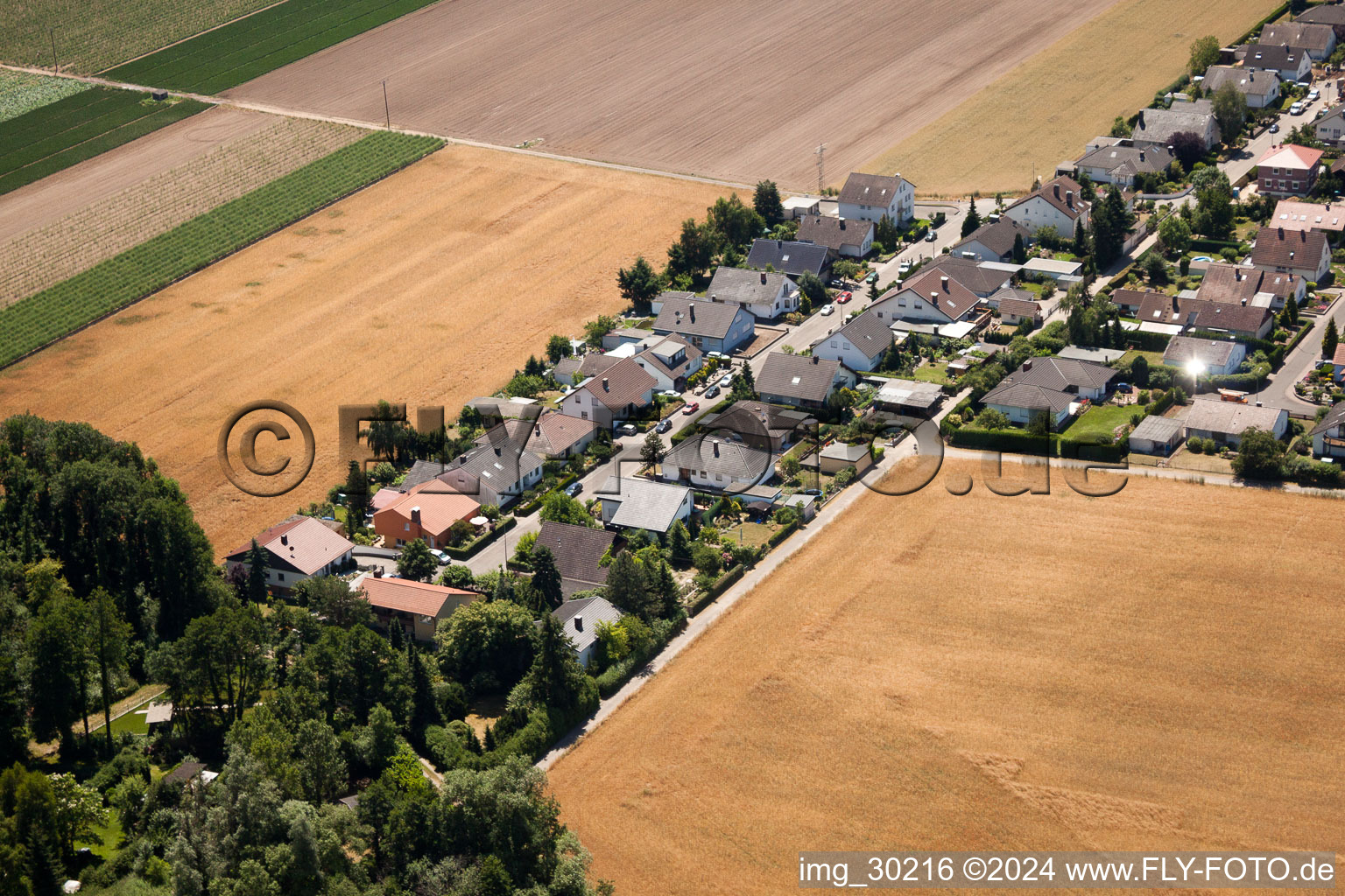 Vue aérienne de Waldstr. à Erlenbach bei Kandel dans le département Rhénanie-Palatinat, Allemagne