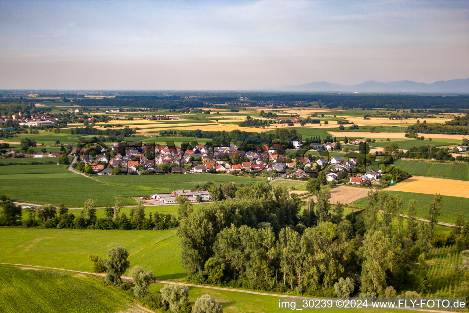 Vue aérienne de Du sud-ouest à le quartier Querbach in Kehl dans le département Bade-Wurtemberg, Allemagne