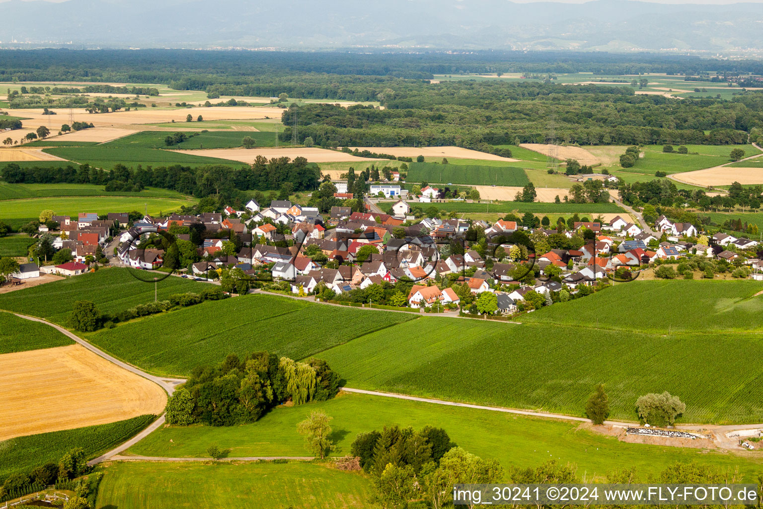 Vue aérienne de Quartier Queienfeld à Grabfeld à Queienfeld dans le département Thuringe, Allemagne