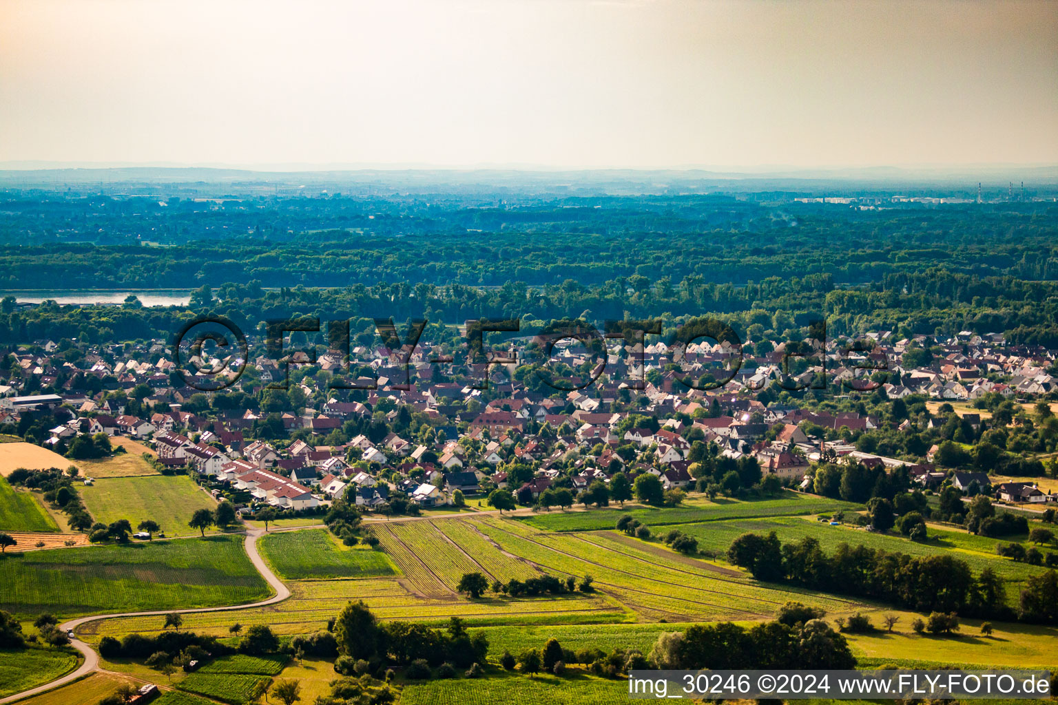 Vue aérienne de Quartier Auenheim in Kehl dans le département Bade-Wurtemberg, Allemagne