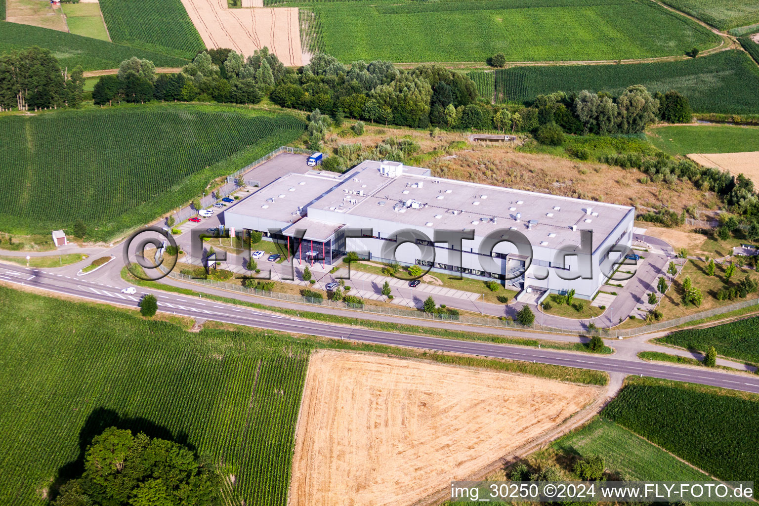 Vue aérienne de Locaux de l'usine ADA Cosmetics International GmbH à le quartier Bodersweier in Kehl dans le département Bade-Wurtemberg, Allemagne