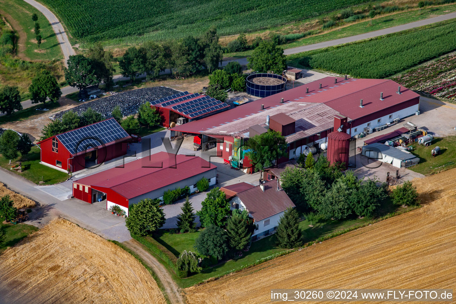 Vue aérienne de Hansjörg Körkel & Cornelia Will-Körkel Kirschhof à le quartier Bodersweier in Kehl dans le département Bade-Wurtemberg, Allemagne