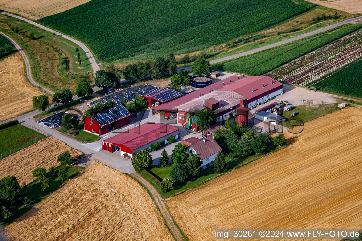 Vue aérienne de Hansjörg Körkel & Cornelia Will-Körkel Kirschhof à le quartier Bodersweier in Kehl dans le département Bade-Wurtemberg, Allemagne