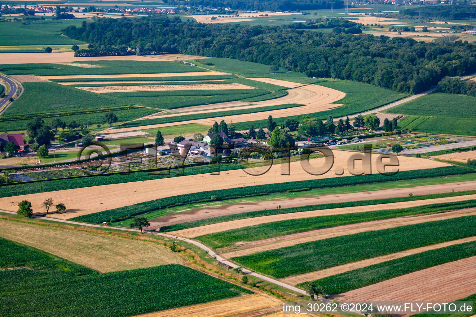 Temps de jardin noir à le quartier Bodersweier in Kehl dans le département Bade-Wurtemberg, Allemagne du point de vue du drone