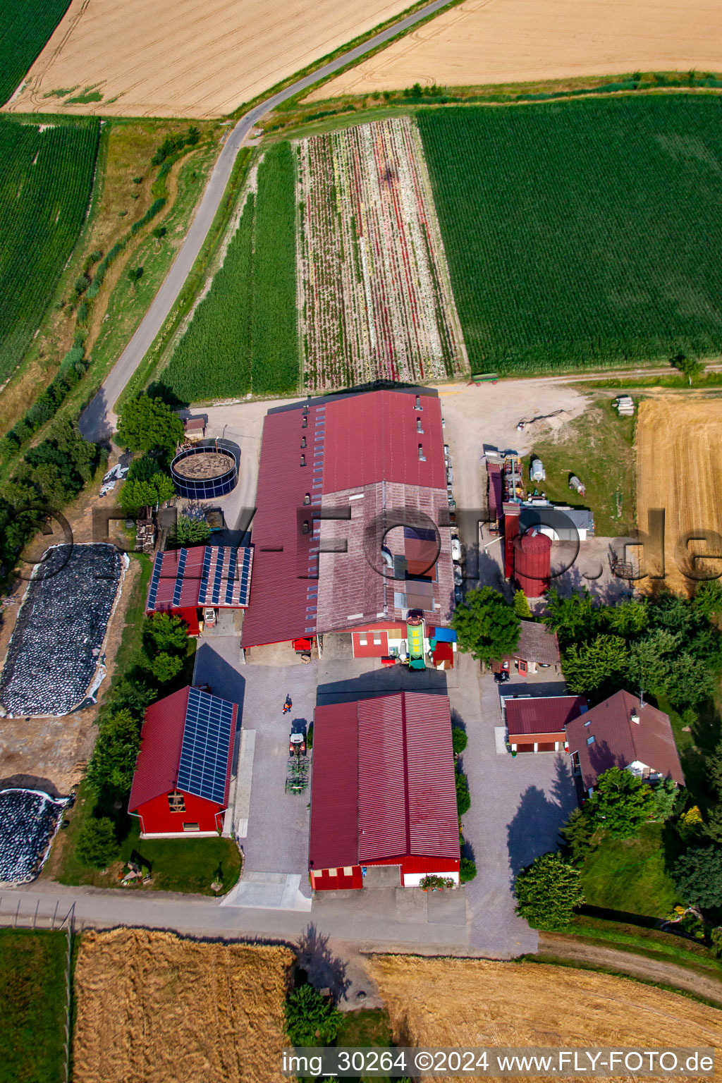 Vue oblique de Hansjörg Körkel & Cornelia Will-Körkel Kirschhof à le quartier Bodersweier in Kehl dans le département Bade-Wurtemberg, Allemagne