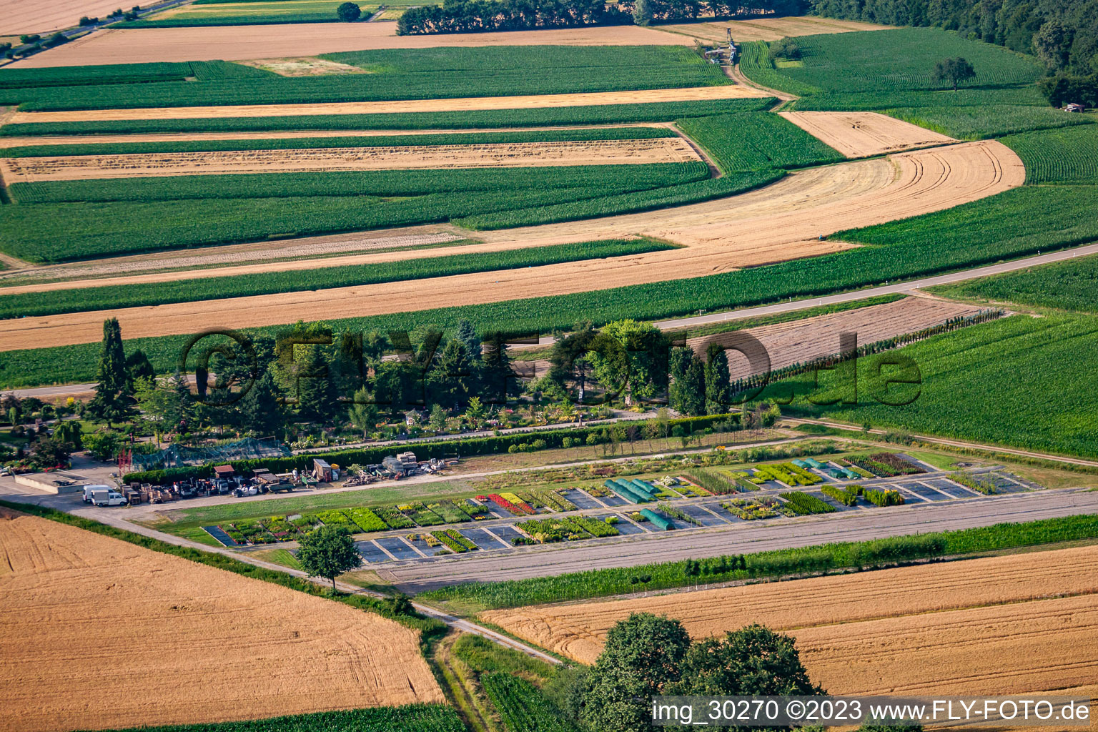 Temps de jardin noir à le quartier Bodersweier in Kehl dans le département Bade-Wurtemberg, Allemagne vu d'un drone