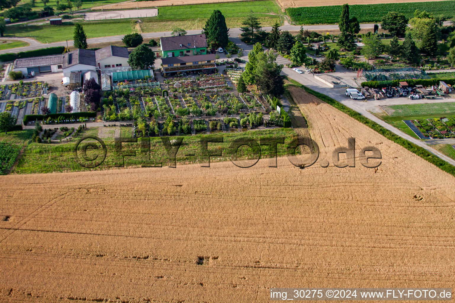 Vue aérienne de Temps de jardin noir à le quartier Bodersweier in Kehl dans le département Bade-Wurtemberg, Allemagne