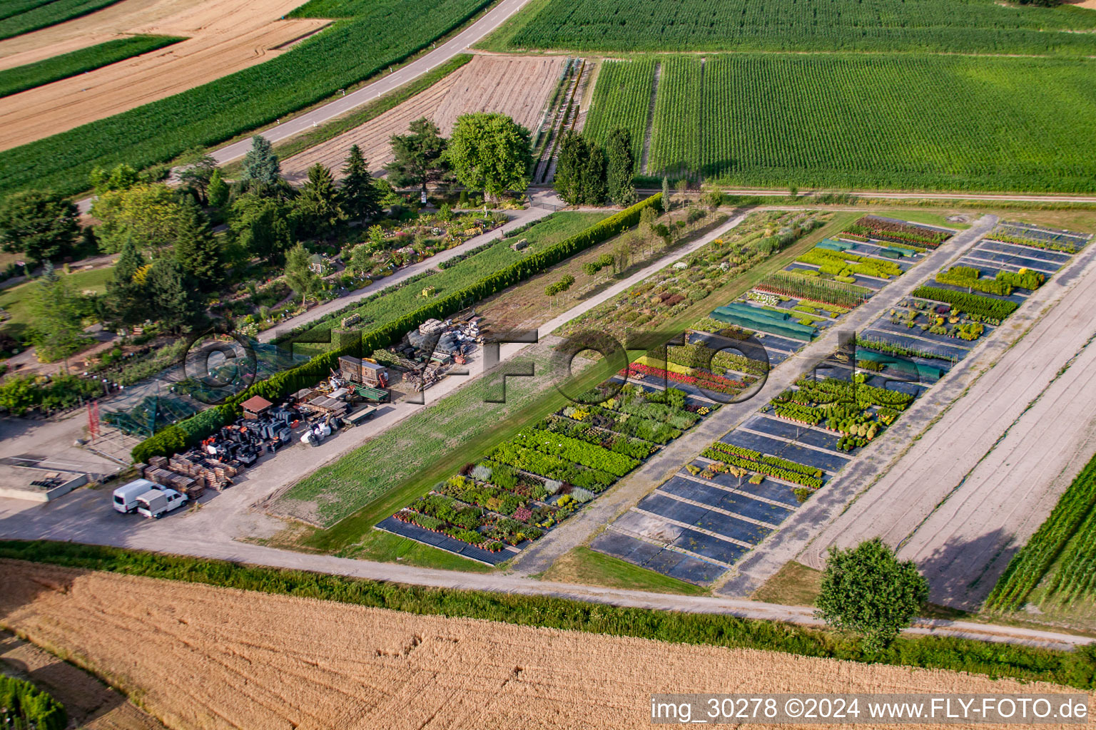 Photographie aérienne de Temps de jardin noir à le quartier Bodersweier in Kehl dans le département Bade-Wurtemberg, Allemagne