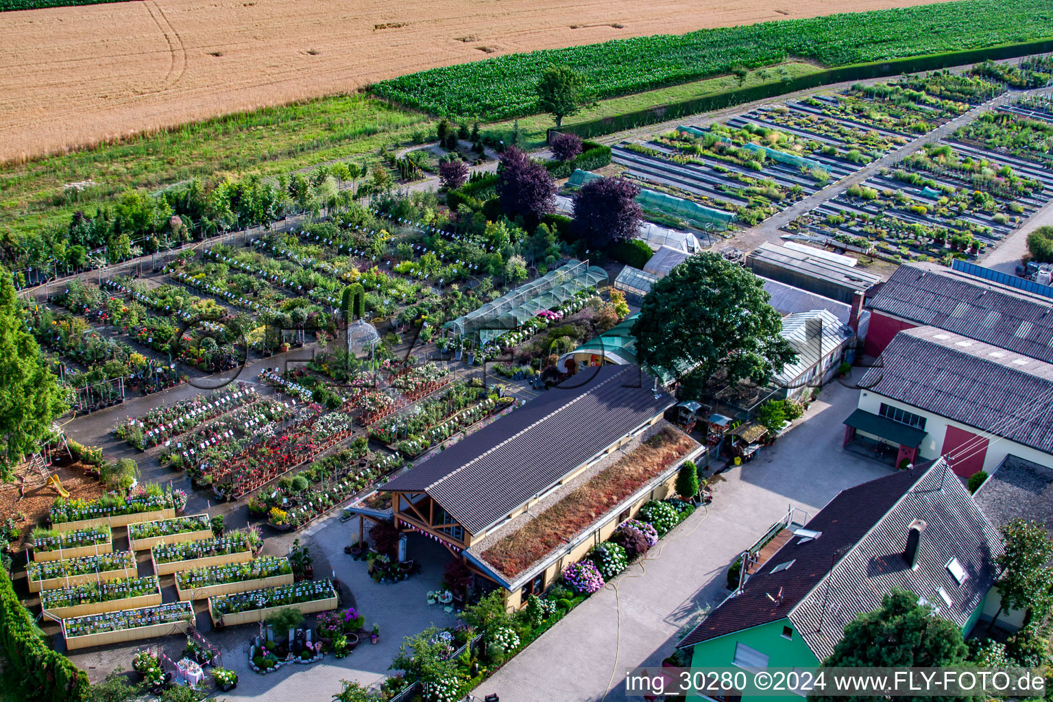 Temps de jardin noir à le quartier Bodersweier in Kehl dans le département Bade-Wurtemberg, Allemagne d'en haut