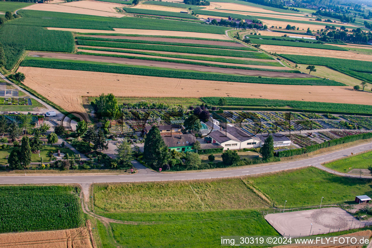 Temps de jardin noir à le quartier Bodersweier in Kehl dans le département Bade-Wurtemberg, Allemagne vue du ciel