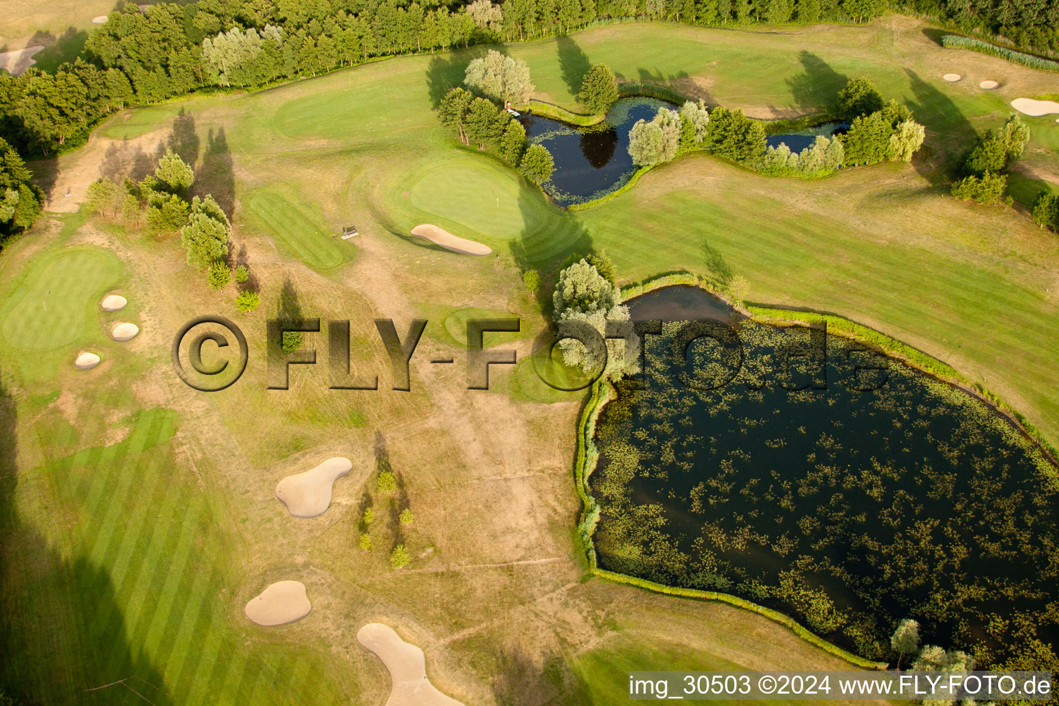 Club de golf Soufflenheim Baden-Baden à Soufflenheim dans le département Bas Rhin, France vu d'un drone