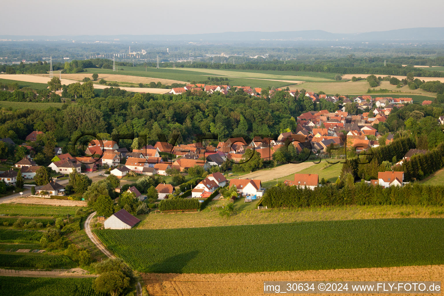 Photographie aérienne de Neewiller-près-Lauterbourg dans le département Bas Rhin, France