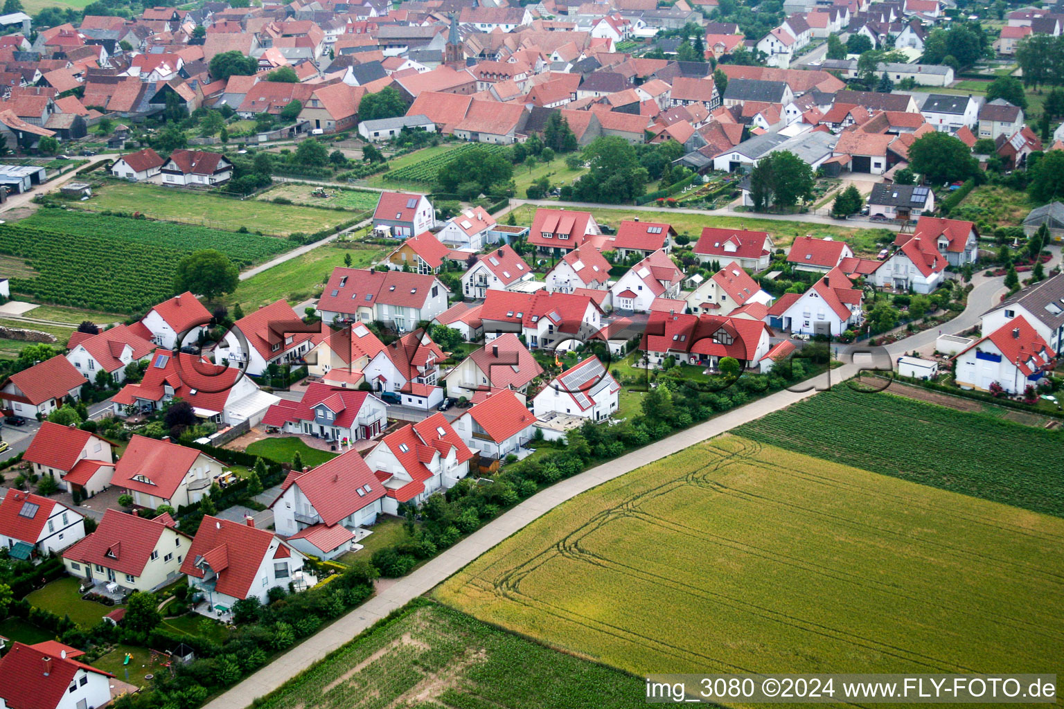 Vue aérienne de Dans les nouveaux jardins à Steinweiler dans le département Rhénanie-Palatinat, Allemagne