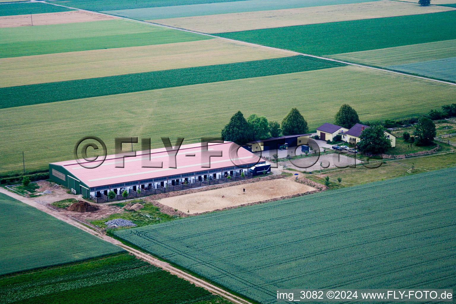 Vue aérienne de Ferme équestre à Steinweiler dans le département Rhénanie-Palatinat, Allemagne