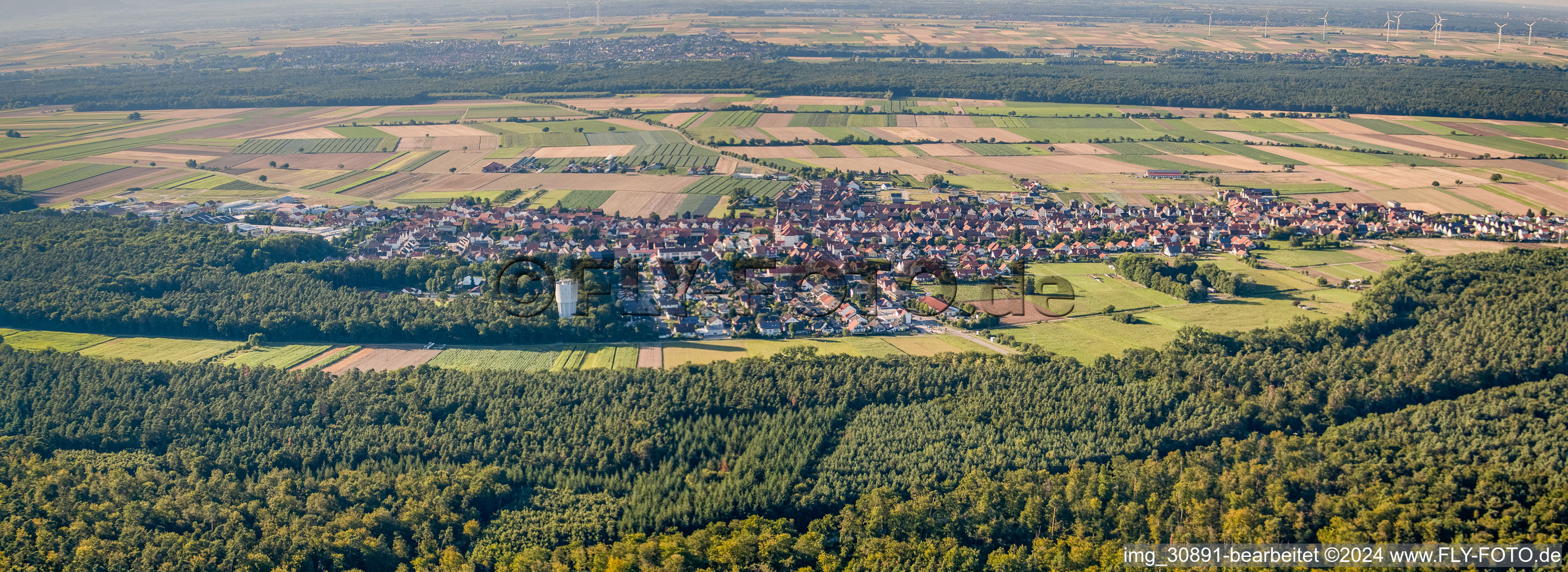 Vue aérienne de Du sud à Hatzenbühl dans le département Rhénanie-Palatinat, Allemagne