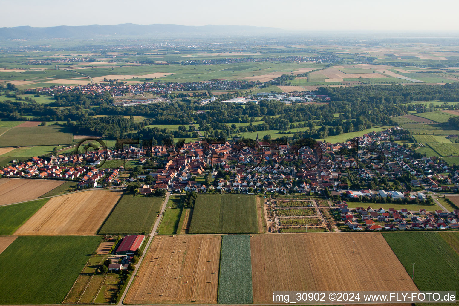 Vue aérienne de Du sud à Steinweiler dans le département Rhénanie-Palatinat, Allemagne