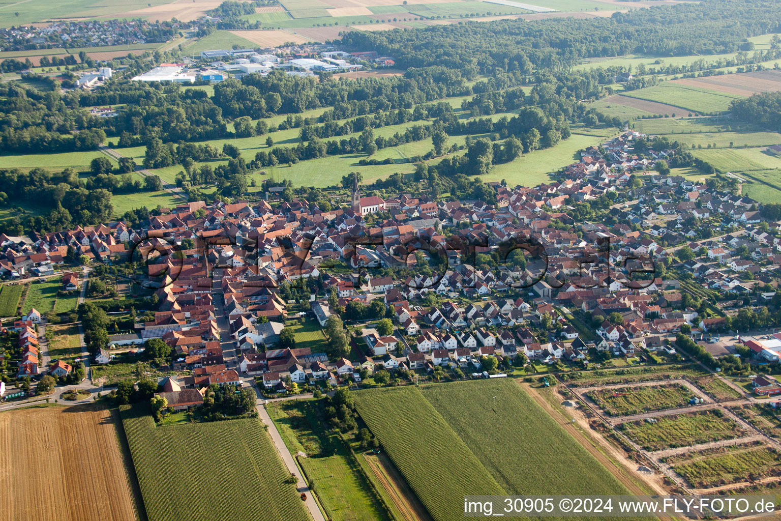 Vue aérienne de Du sud à Steinweiler dans le département Rhénanie-Palatinat, Allemagne