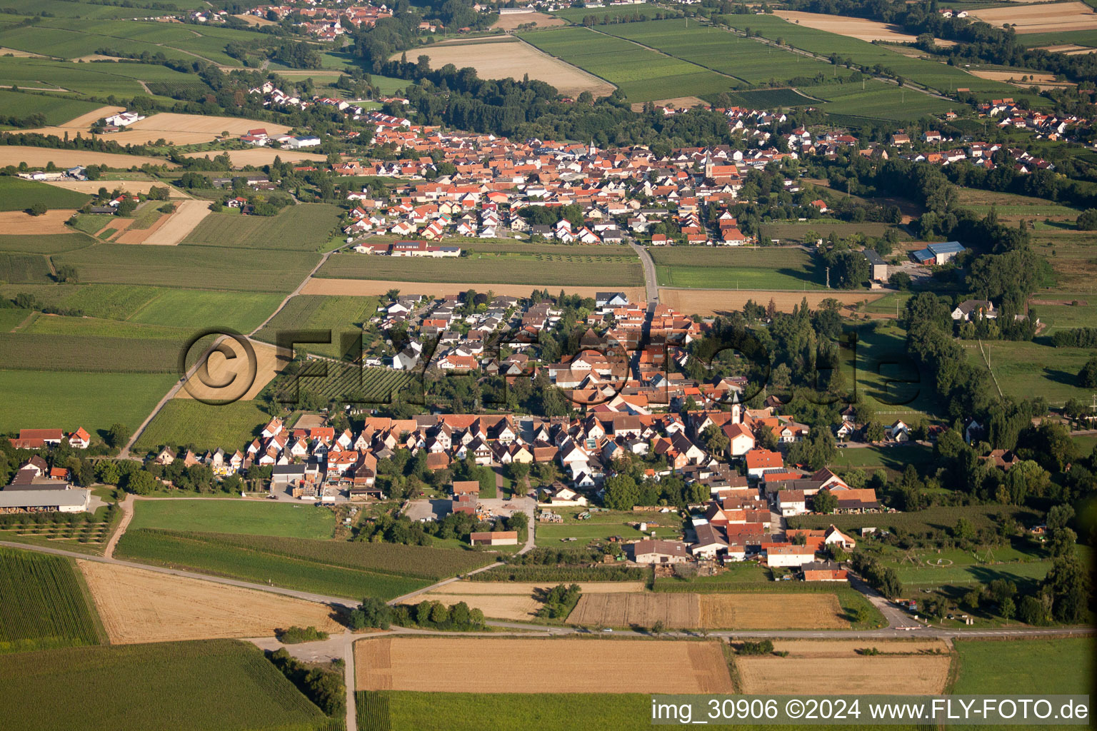 Photographie aérienne de Vue des rues et des maisons des quartiers résidentiels à le quartier Mühlhofen in Billigheim-Ingenheim dans le département Rhénanie-Palatinat, Allemagne