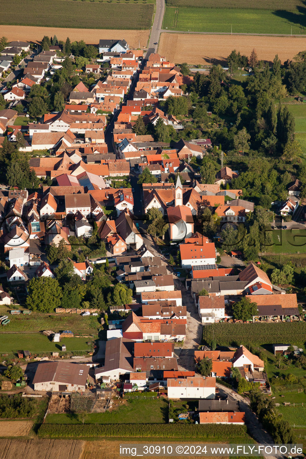 Vue oblique de Vue des rues et des maisons des quartiers résidentiels à le quartier Mühlhofen in Billigheim-Ingenheim dans le département Rhénanie-Palatinat, Allemagne