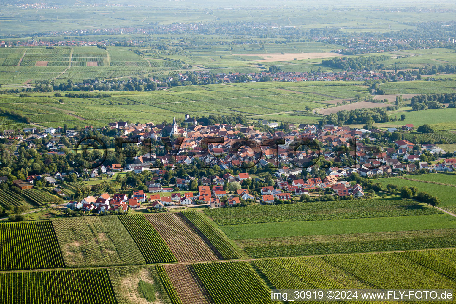 Vue aérienne de Du sud à le quartier Mörzheim in Landau in der Pfalz dans le département Rhénanie-Palatinat, Allemagne