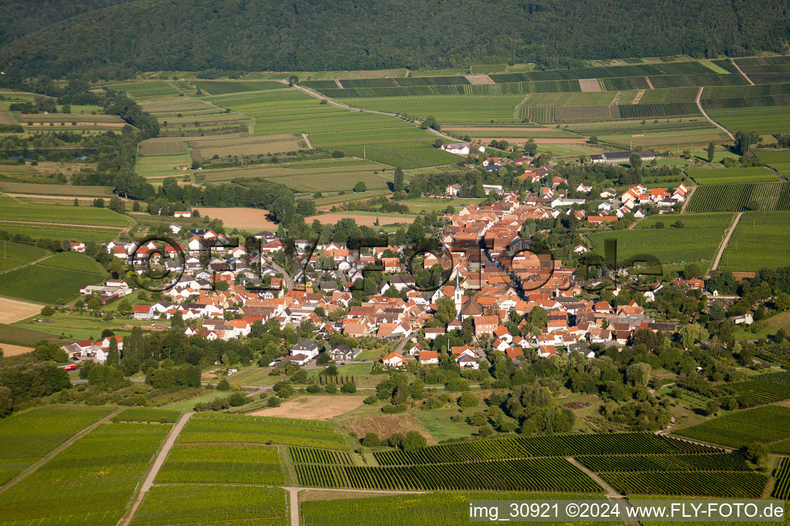 Göcklingen dans le département Rhénanie-Palatinat, Allemagne vue du ciel