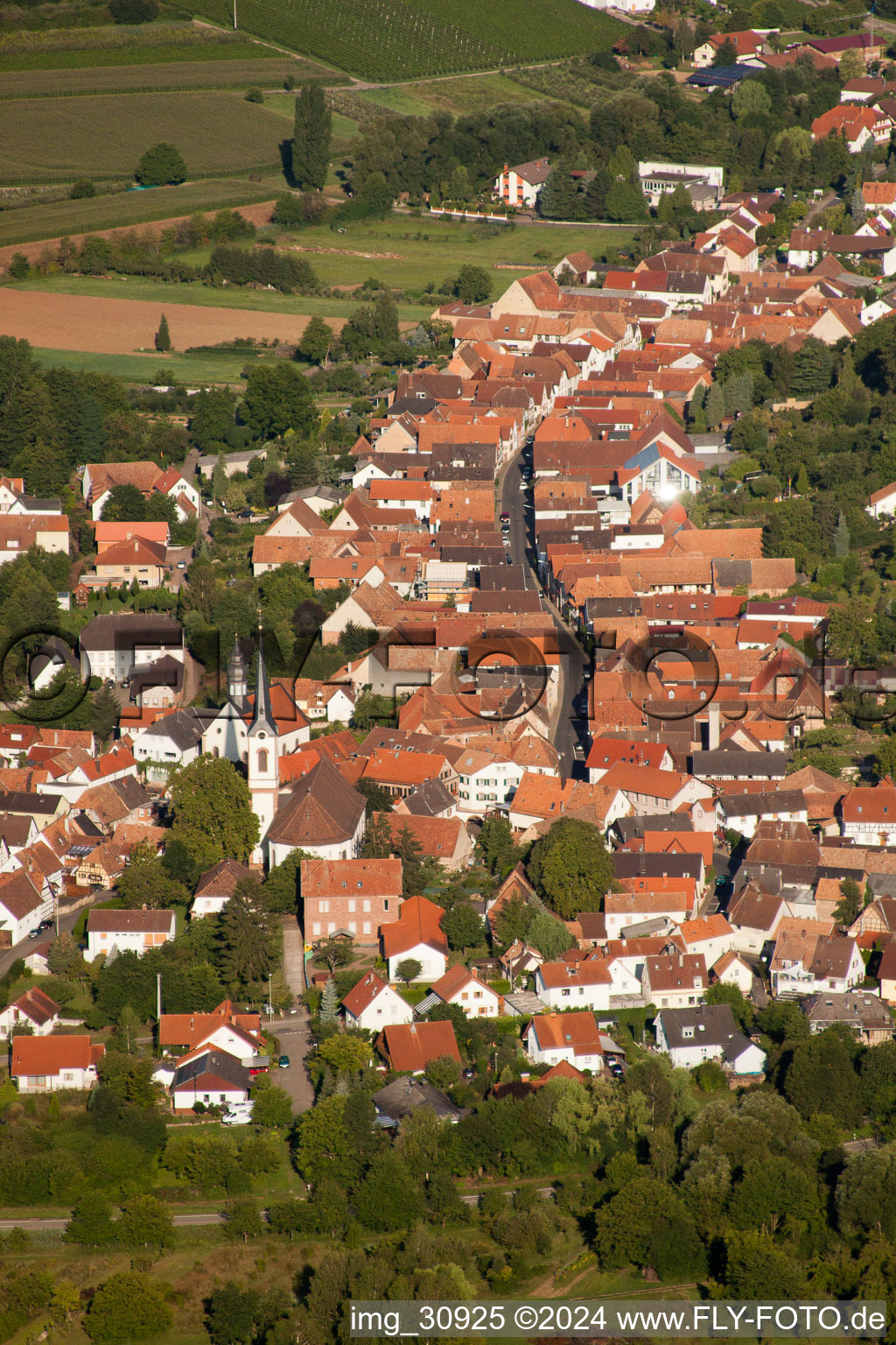 Göcklingen dans le département Rhénanie-Palatinat, Allemagne d'un drone