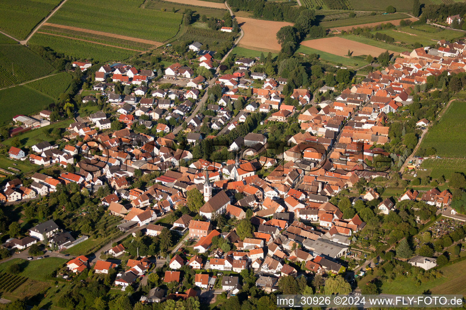 Göcklingen dans le département Rhénanie-Palatinat, Allemagne vu d'un drone