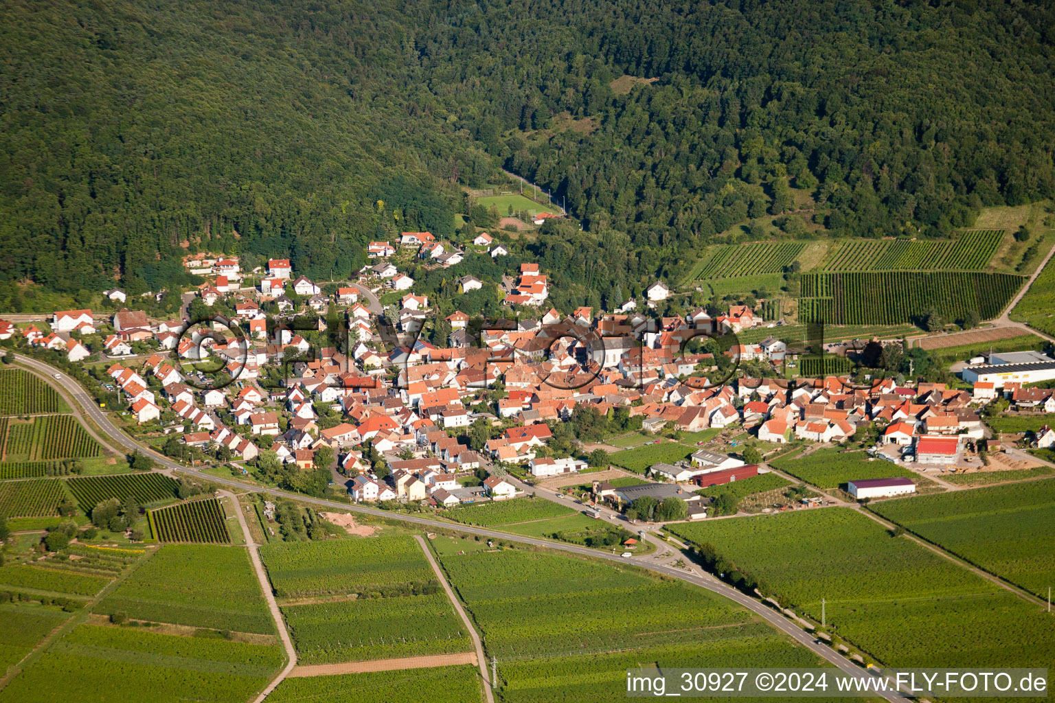 Vue aérienne de Eschbach dans le département Rhénanie-Palatinat, Allemagne