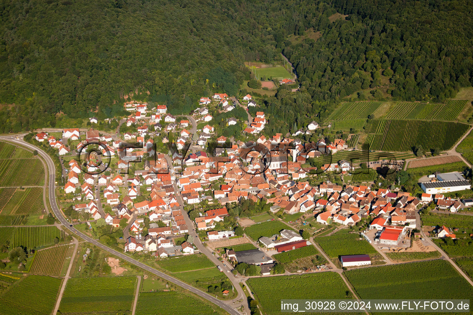 Photographie aérienne de Eschbach dans le département Rhénanie-Palatinat, Allemagne