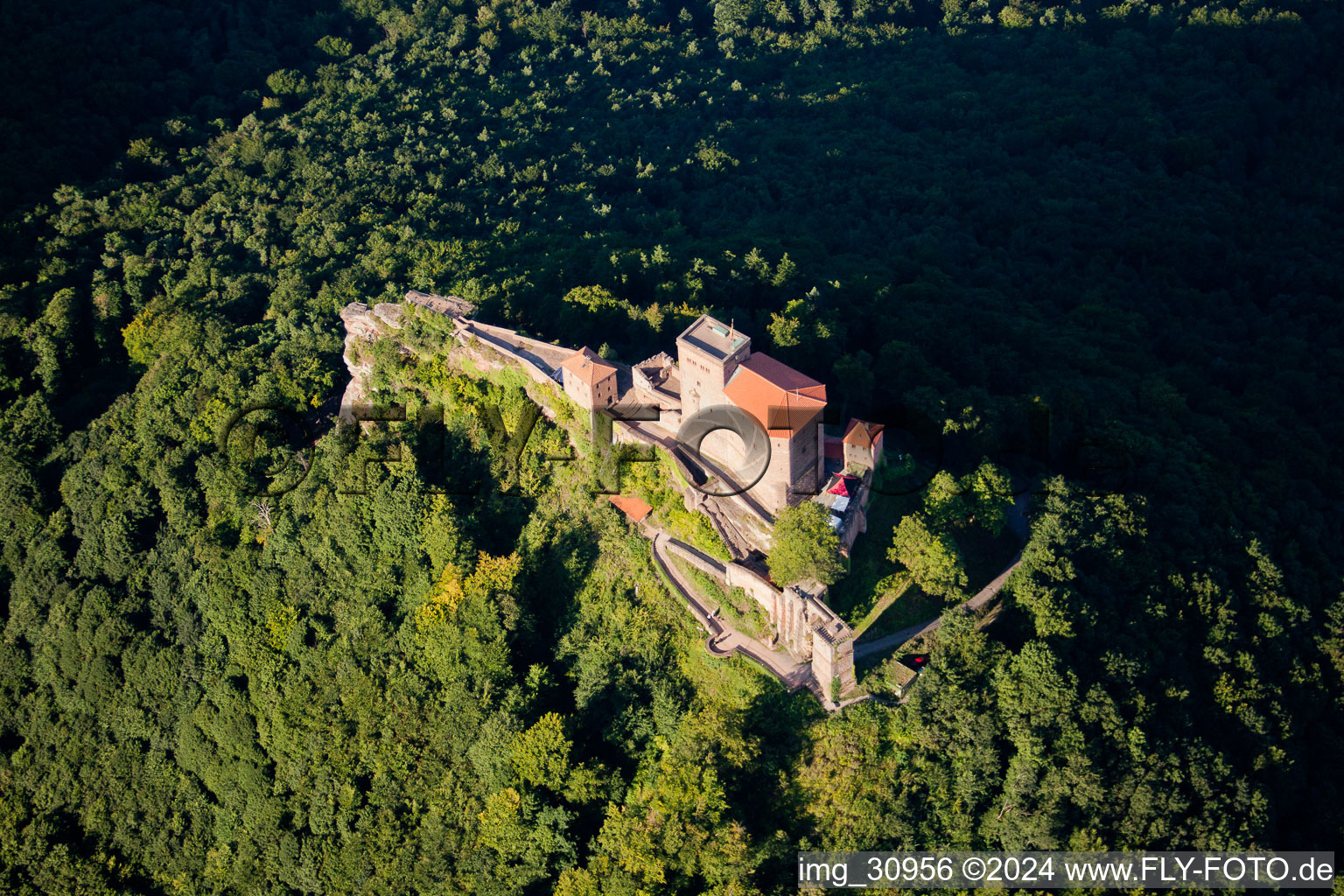 Image drone de Château de Trifels à Annweiler am Trifels dans le département Rhénanie-Palatinat, Allemagne