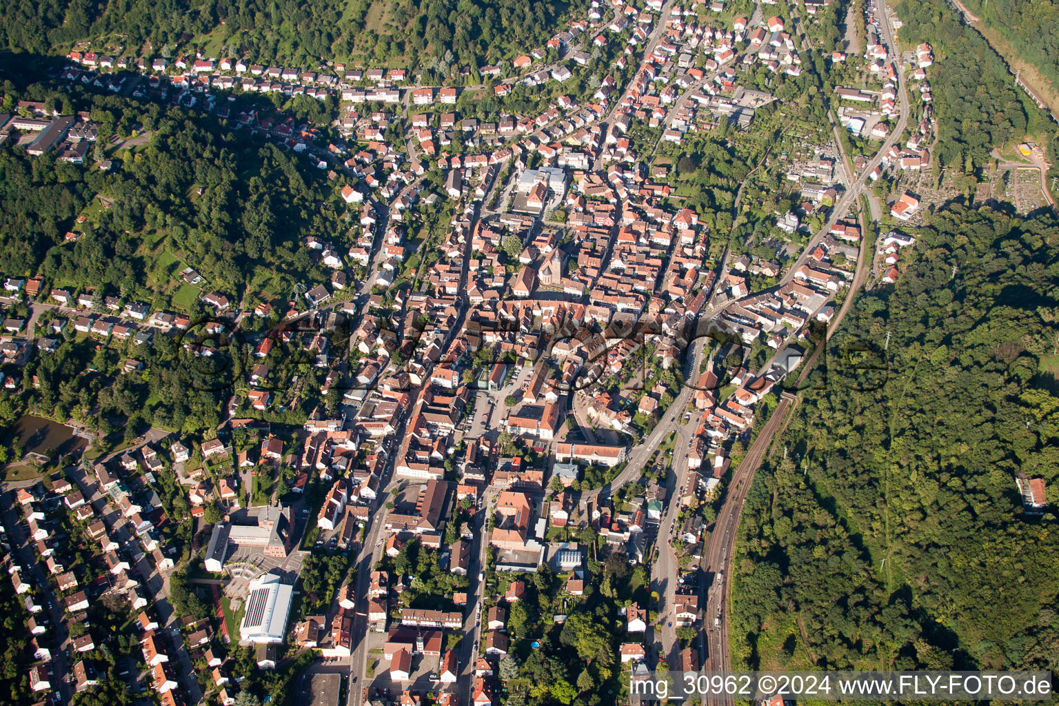 Photographie aérienne de Vue des rues et des maisons des quartiers résidentiels à Annweiler am Trifels dans le département Rhénanie-Palatinat, Allemagne