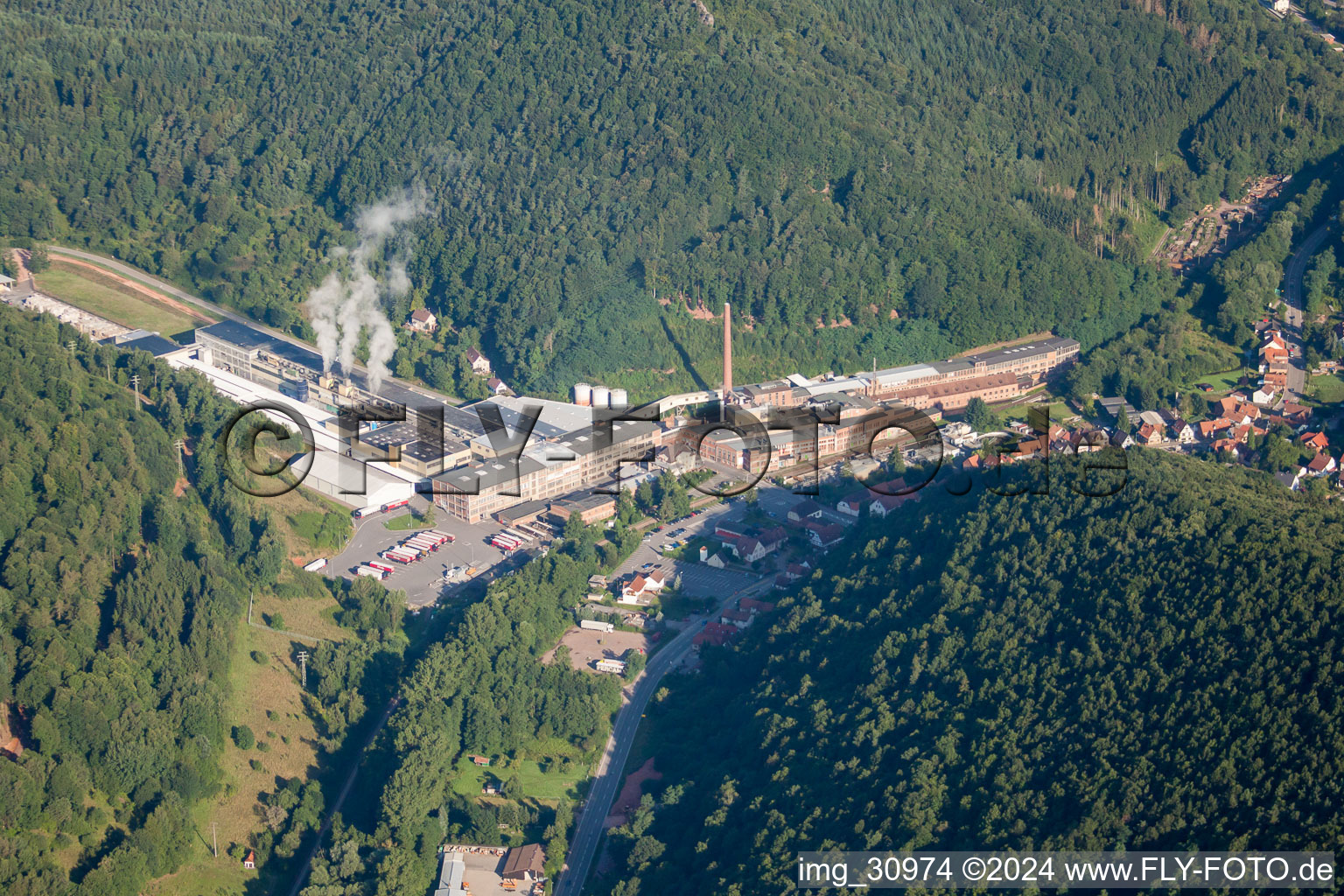 Vue oblique de Usine de carton Buchmann GmbH à le quartier Sarnstall in Annweiler am Trifels dans le département Rhénanie-Palatinat, Allemagne