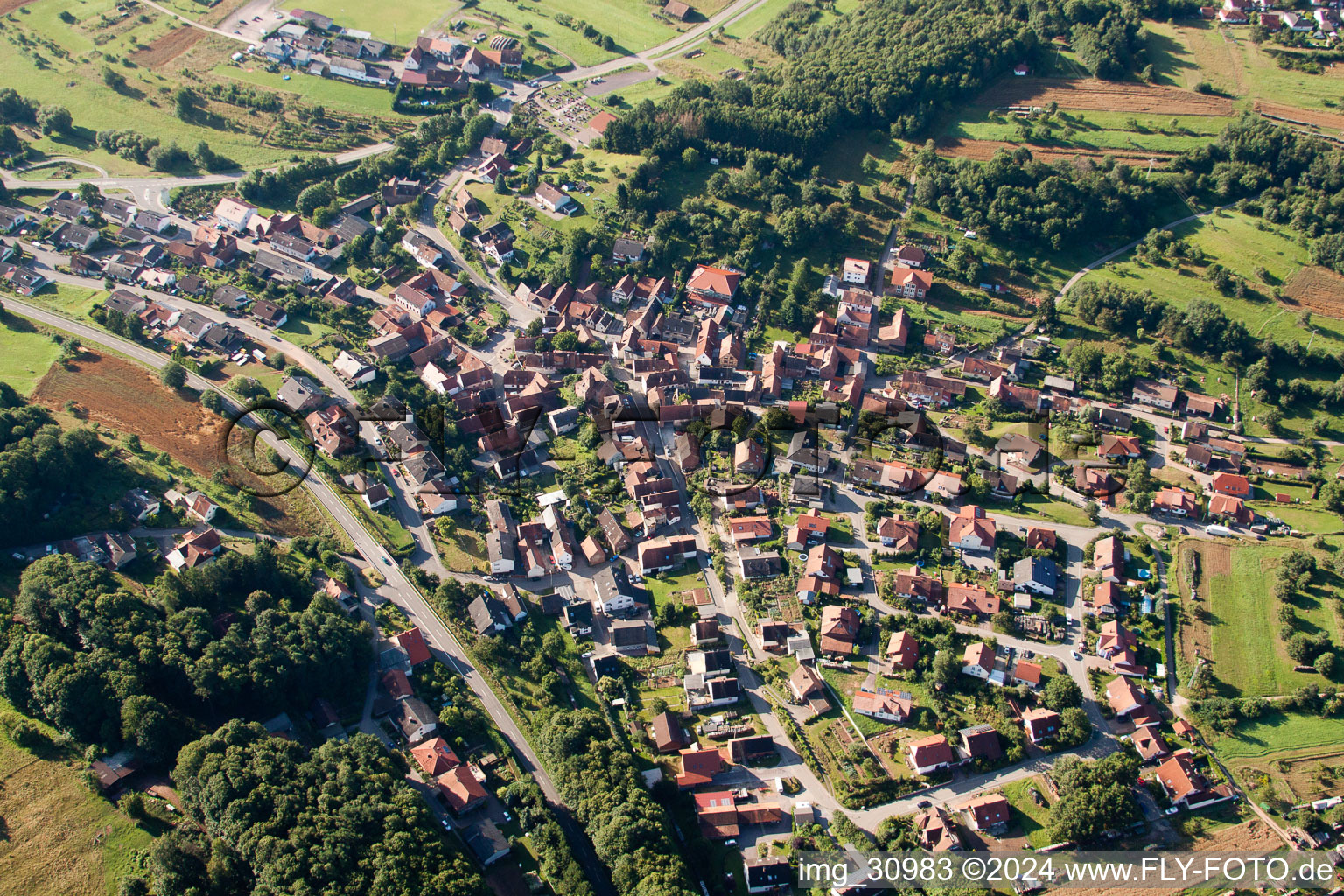 Vue aérienne de (Palatinat) à Völkersweiler dans le département Rhénanie-Palatinat, Allemagne