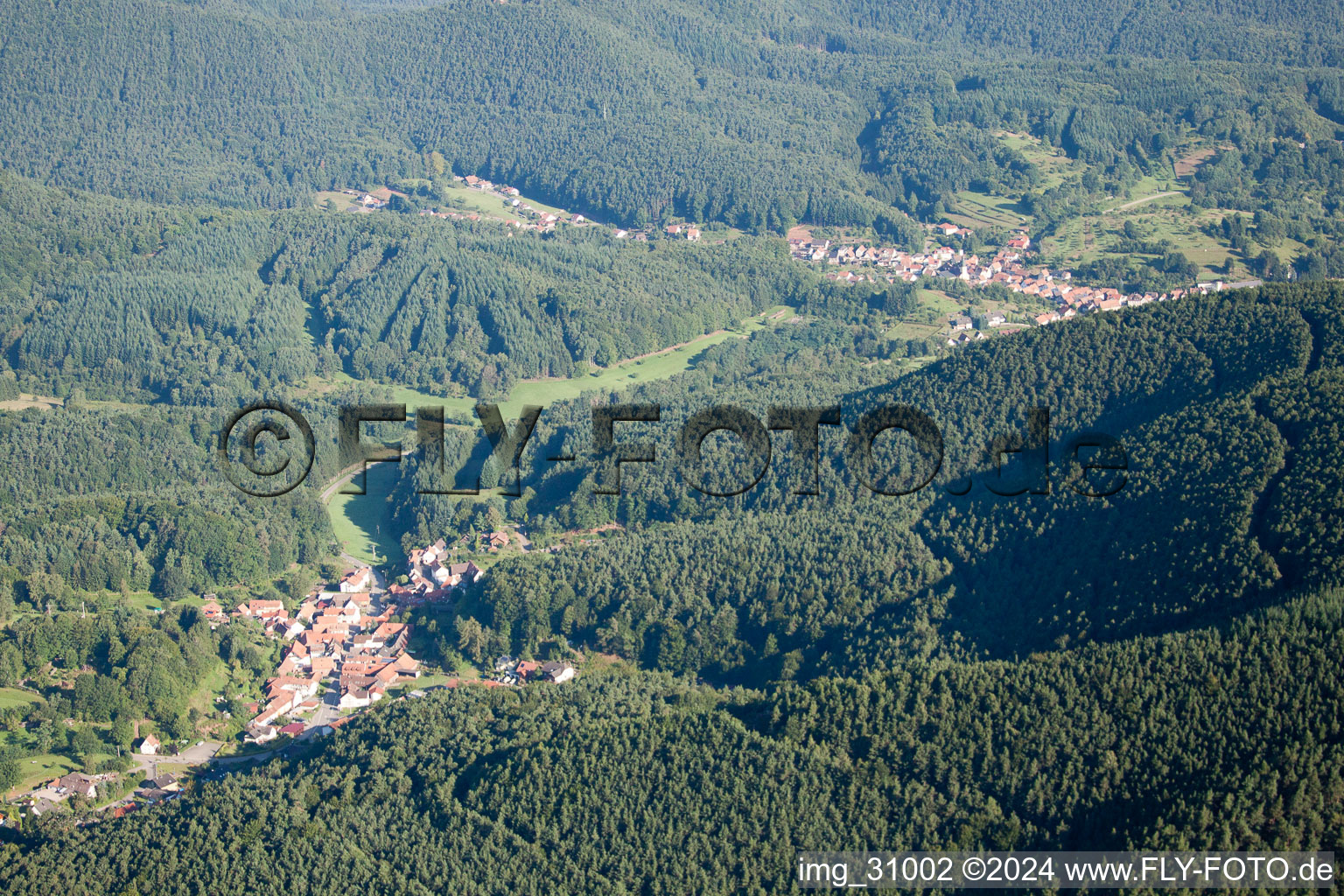 Vue aérienne de Schwanheim à Darstein dans le département Rhénanie-Palatinat, Allemagne