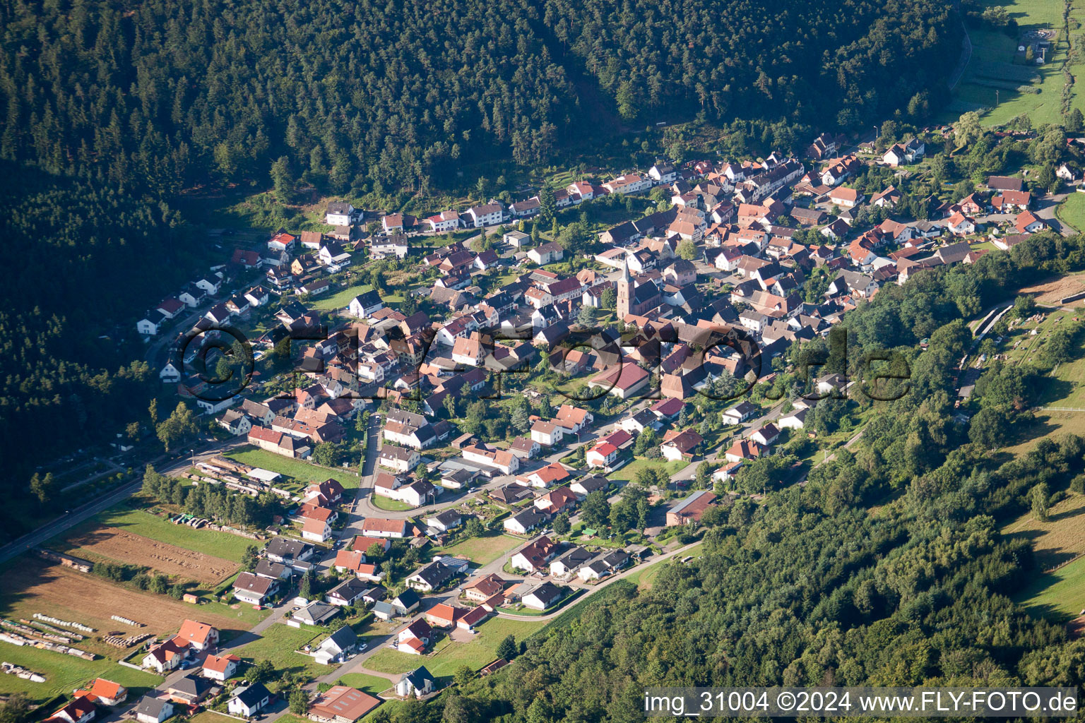 Vorderweidenthal dans le département Rhénanie-Palatinat, Allemagne hors des airs