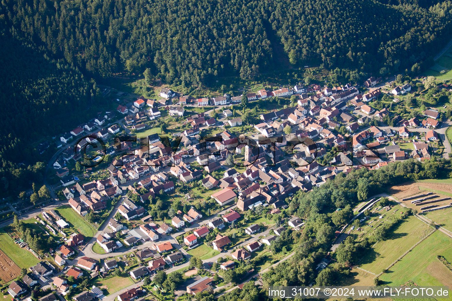 Vorderweidenthal dans le département Rhénanie-Palatinat, Allemagne vue d'en haut