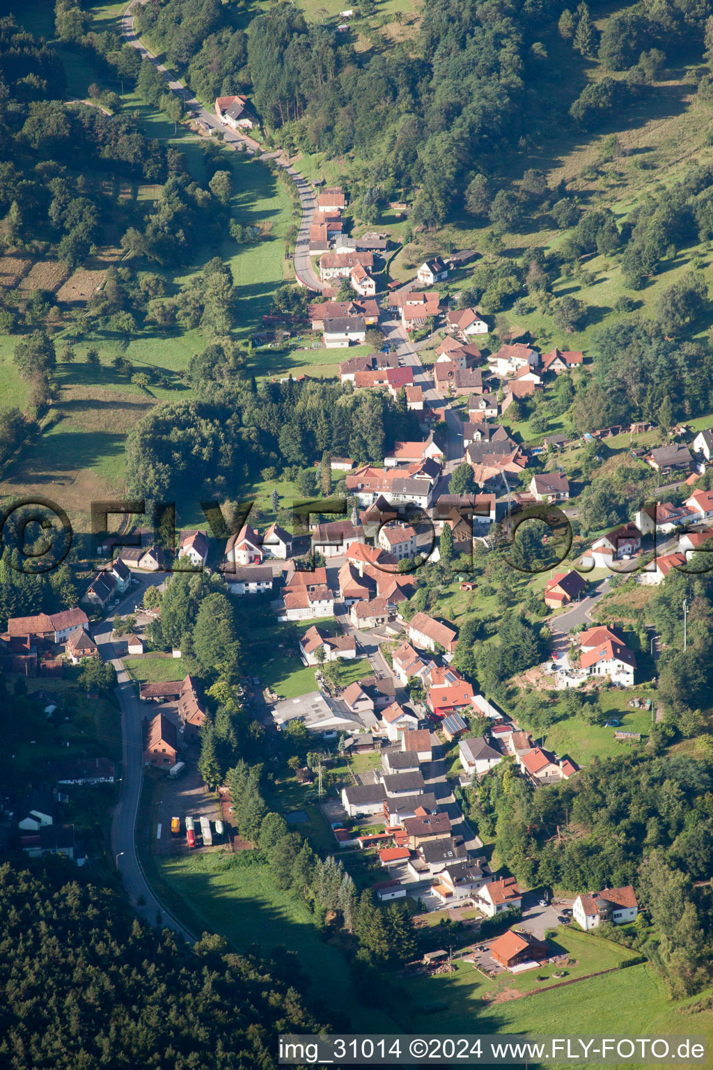 Vue aérienne de Erlenbach à Vorderweidenthal dans le département Rhénanie-Palatinat, Allemagne